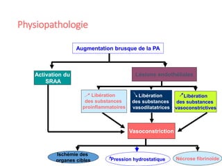 Physiopathologie
10
Augmentation brusque de la PA
Lésions endothélialesActivation du
SRAA
Vasoconstriction
Nécrose fibrinoïde
Ischémie des
organes cibles
Libération
des substances
proinflammatoires
Libération
des substances
vasoconstrictives
Libération
des substances
vasodilatatrices
Pression hydrostatique
 