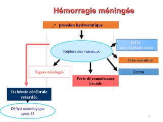 HTIC
avec céphalée ictale
Ischémie cérébrale
retardée
Rupture des vaisseaux
Crise convulsive
Perte de connaissance
brutale
Hémorragie méningée
pression hydrostatique
ComaSignes méningés
Déficit neurologique
après J3
18
 