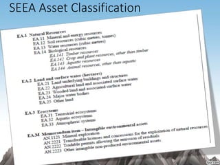 SEEA Asset Classification
 