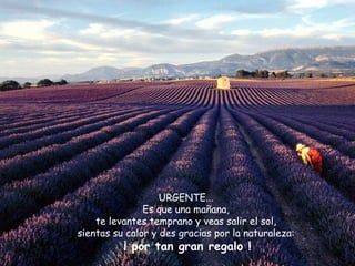 URGENTE... Es que una mañana, te levantes temprano y veas salir el sol, sientas su calor y des gracias por la naturaleza:   ¡ por tan gran regalo ! 