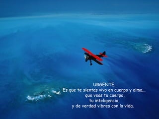 URGENTE...  Es que te sientas vivo en cuerpo y alma... que veas tu cuerpo,  tu inteligencia,  y de verdad vibres con la vida.  