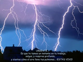 URGENTE...  Es que te tomes un instante en tu trabajo, salgas, y respires profundo; y sientas cómo el aire llena tus pulmones... ¡ESTÁS VIVO!   