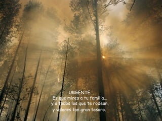 URGENTE...  Es que mires a tu familia...  y a todos los que te rodean,  y valores tan gran tesoro.   