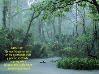 URGENTE...  Es que hagas un alto en tu ajetreada vida  y por un instante te preguntes: ¿Qué significado tiene todo lo que hago?   