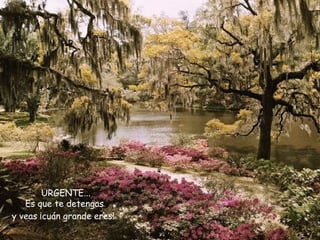 URGENTE... Es que te detengas  y veas ¡cuán grande eres!   