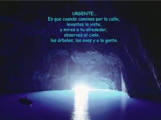 URGENTE...  Es que cuando camines por la calle, levantes la vista,  y mires a tu alrededor, observes el cielo,  los árboles, las aves y a la gente.  