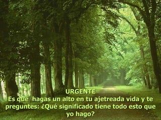 URGENTE Es  q ue  hagas un alto en tu ajetreada vida y   te preguntes: ¿Qué significado tiene todo esto que yo hago? 