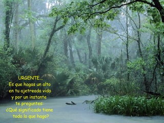 URGENTE...  Es que hagas un alto en tu ajetreada vida  y por un instante te preguntes: ¿Qué significado tiene todo lo que hago?   