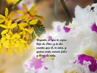 Urgente, es que te sepas hijo de Dios, y te des cuenta que él, te ama, y quiere verte sonreir feliz y lleno de vida. 