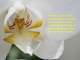 Urgente, es que no se te vaya la vida en un soplo y que cuando mires atrás, seas ya un anciano que no puede echar tiempo atrás, que todo lo hizo urgente ... 