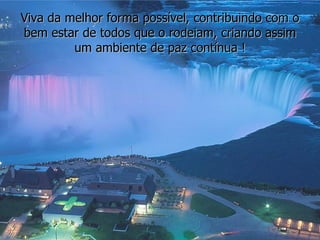Viva da melhor forma possível, contribuindo com o bem estar de todos que o rodeiam, criando assim um ambiente de paz contínua ! 