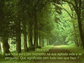 URGENTE É que você pare um momento na sua agitada vida e se pergunte: Que significado tem tudo isso que faço ? 