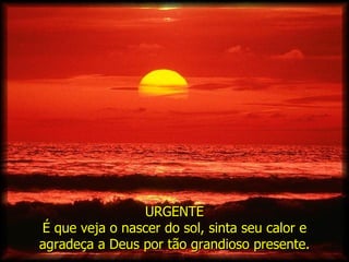 URGENTE É que veja o nascer do sol, sinta seu calor e agradeça a Deus por tão grandioso presente. 