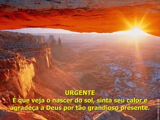 URGENTE É que veja o nascer do sol, sinta seu calor e agradeça a Deus por tão grandioso presente. 