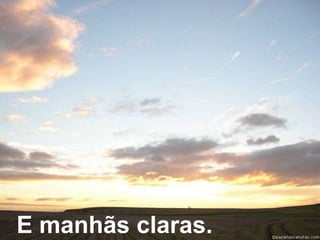 E manhãs claras.