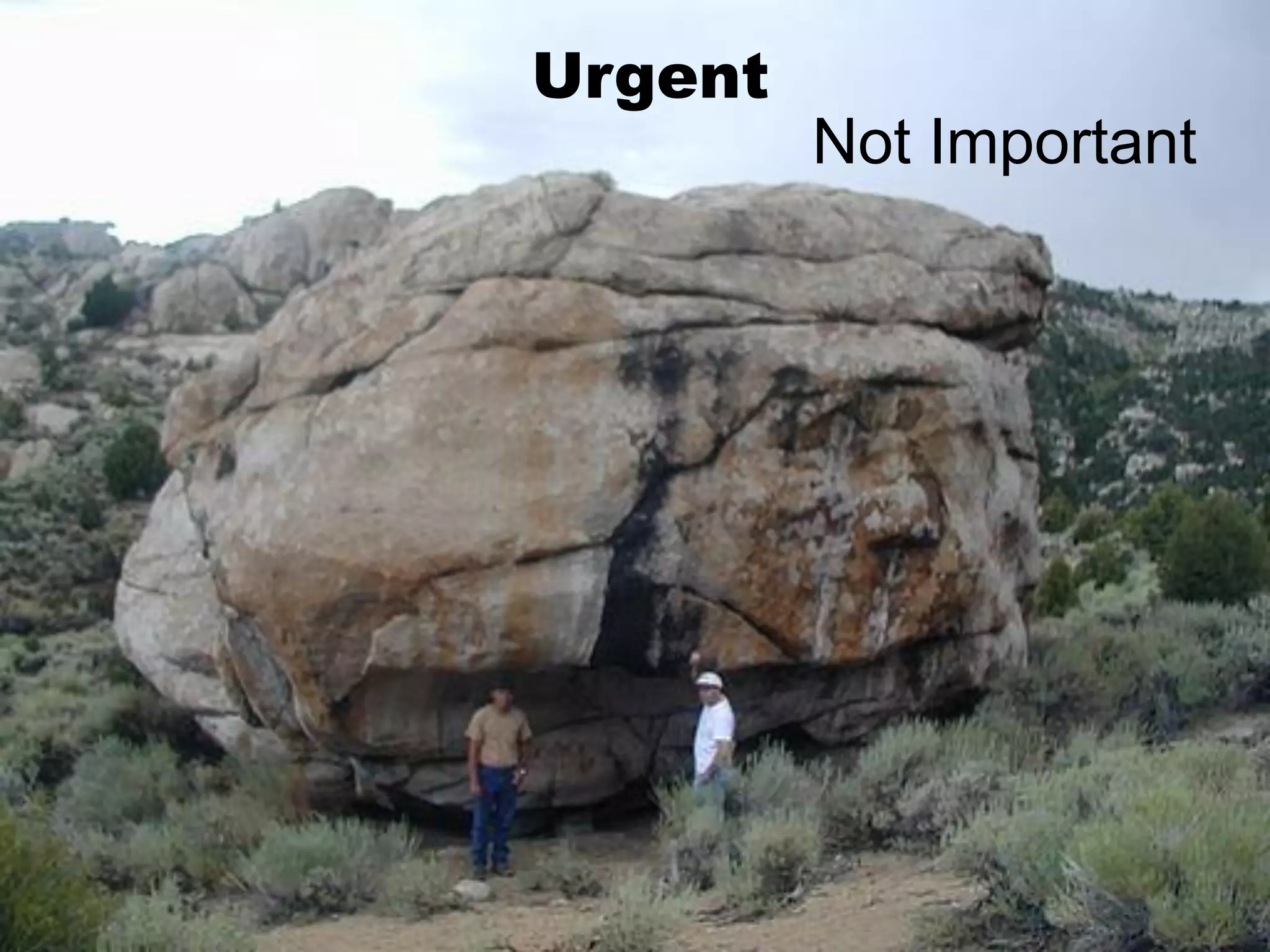 Urgent 
Not Important  