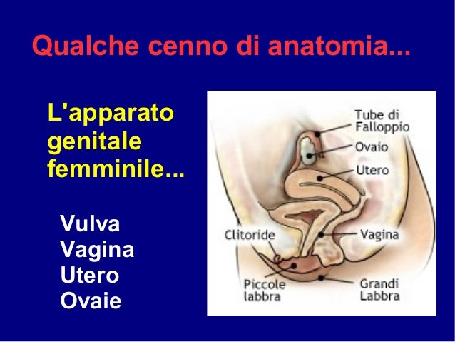 La lista di candele allatto di sanguinamento di emorroidi