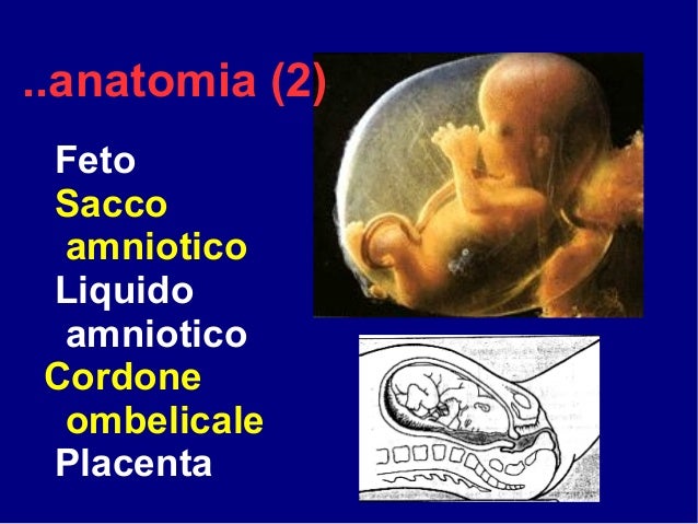Contagocce dopo operazione di emorroidi