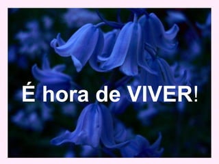 É hora de VIVER!
 