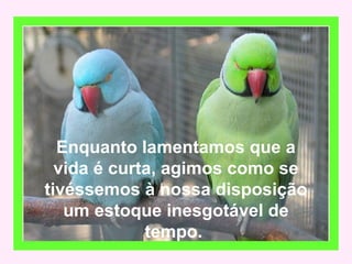 Enquanto lamentamos que a
vida é curta, agimos como se
tivéssemos à nossa disposição
um estoque inesgotável de
tempo.
 