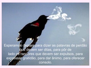 Esperamos demais para dizer as palavras de perdão
que devem ser ditas, para pôr de
lado os rancores que devem ser expulsos, para
expressar gratidão, para dar ânimo, para oferecer
consolo.
 