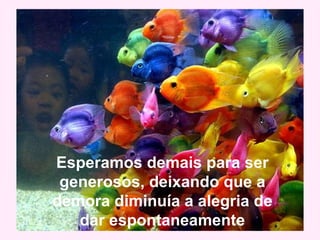 Esperamos demais para ser
generosos, deixando que a
demora diminuía a alegria de
dar espontaneamente
 