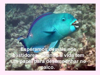 Esperamos demais nos
bastidores, quando a vida tem
um papel para desempenhar no
palco.
 