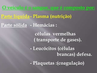 O veículo é o sangue, que é composto por:
Parte líquida- Plasma (nutrição)
Parte sólida - Hemácias :
células vermelhas
( transporte de gases).
- Leucócitos (células
brancas) defesa.
- Plaquetas :(coagulação)
 