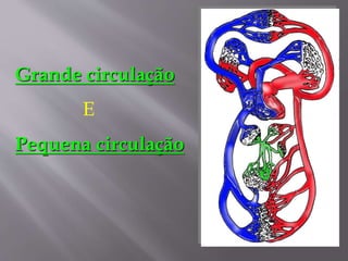Grande circulação
E
Pequena circulação
 