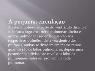 A pequena circulação
A artéria pulmonar parte do ventrículo direito e
se bifurca logo em artéria pulmonar direita e
artéria pulmonar esquerda, que vão aos
respectivos pulmões. Uma vez dentro dos
pulmões, ambas se dividem em tantos ramos
quantos são os lobos pulmonares; depois uma
posterior subdivisão ao nível dos lóbulos
pulmonares, estes se resolvem na rede
pulmonar.
 