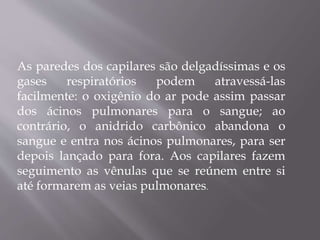 As paredes dos capilares são delgadíssimas e os
gases respiratórios podem atravessá-las
facilmente: o oxigênio do ar pode assim passar
dos ácinos pulmonares para o sangue; ao
contrário, o anidrido carbônico abandona o
sangue e entra nos ácinos pulmonares, para ser
depois lançado para fora. Aos capilares fazem
seguimento as vênulas que se reúnem entre si
até formarem as veias pulmonares.
 