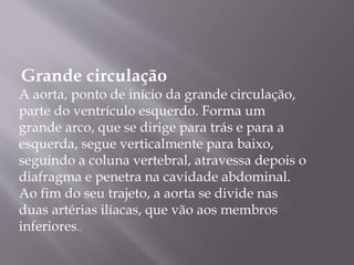 Grande circulação
A aorta, ponto de início da grande circulação,
parte do ventrículo esquerdo. Forma um
grande arco, que se dirige para trás e para a
esquerda, segue verticalmente para baixo,
seguindo a coluna vertebral, atravessa depois o
diafragma e penetra na cavidade abdominal.
Ao fim do seu trajeto, a aorta se divide nas
duas artérias ilíacas, que vão aos membros
inferiores..
 