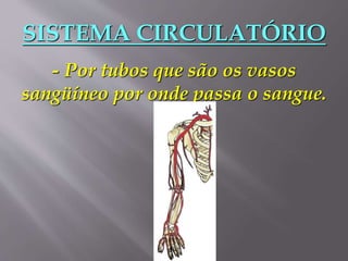 SISTEMA CIRCULATÓRIO
- Por tubos que são os vasos
sangüíneo por onde passa o sangue.
 