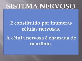 SISTEMA NERVOSO
É constituído por inúmeras
células nervosas.
A célula nervosa é chamada de
neurônio.
 