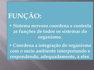 FUNÇÃO:
• Sistema nervoso coordena e controla
as funções de todos os sistemas do
organismo.
• Coordena a integração do organismo
com o meio ambiente interpretando e
respondendo, adequadamente, a eles.
 