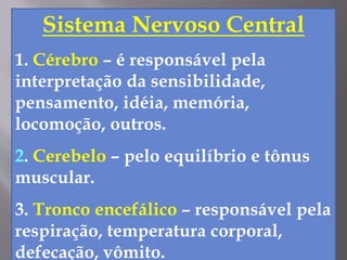 Sistema Nervoso Central
1. Cérebro – é responsável pela
interpretação da sensibilidade,
pensamento, idéia, memória,
locomoção, outros.
2. Cerebelo – pelo equilíbrio e tônus
muscular.
3. Tronco encefálico – responsável pela
respiração, temperatura corporal,
defecação, vômito.
 