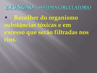 2 FUNÇÃO - SISTEMA CIRCULATÓRIO
• Recolher do organismo
substâncias tóxicas e em
excesso que serão filtradas nos
rins.
 