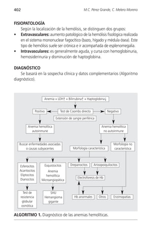 402                                                   M.C. Pérez Grande, C. Melero Moreno


FISIOPATOLOGÍA
    Según la localización de la hemólisis, se distinguen dos grupos:
• Extravasculares: aumento patológico de la hemólisis fisológica realizada
    en el sistema mononuclear fagocítico (bazo, hígado y médula ósea). Este
    tipo de hemólisis suele ser crónica e ir acompañada de esplenomegalia.
• Intravasculares: es generalmente aguda, y cursa con hemoglobinuria,
    hemosiderinuria y disminución de haptoglobina.

DIAGNÓSTICO
    Se basará en la sospecha clínica y datos complementarios (Algoritmo
diagnóstico).



                         Anemia + LDH↑ + Bilirrubina↑ + Haptoglobina↓


                  Positivo           Test de Coombs directo               Negativo

                                 Extensión de sangre periférica

          Anemia hemolítica                                         Anemia hemolítica
            autoinmune                                               no autoinmune


   Buscar enfermedades asociadas                                              Morfología no
       o causas subyacentes                   Morfología característica       característica




   Esferocitos           Esquistocitos      Drepanocitos      Anisopoiquilocitos
   Acantocitos             Anemia
    Eliptocitos           hemolítica
                                                 Electroforesis de Hb
   Dianocitos          Microangiopática


      Test de                SHU
    resistencia          Hemangioma            Hb anormales       Otros       Enzimopatías
     globular              gigante
     osmótica

ALGORITMO 1. Diagnóstico de las anemias hemolíticas.
 