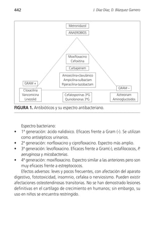 442                                                J. Díaz Díaz, D. Blázquez Gamero



                                Metronidazol
                                ANAEROBIOS




                                Moxifloxacino
                                 Cefoxitina

                                 Carbapenem

                            Amoxicilina-clavulánico
                             Ampicilina-sulbactam
       GRAM +               Piperacilina-tazobactam
                                                                    GRAM –
       Cloxacilina
      Vancomicina             Cefalosporinas 3ªG                  Aztreonam
        Linezolid             Quinolononas 3ªG                  Aminoglucósidos

FIGURA 1. Antibióticos y su espectro antibacteriano.



    Espectro bacteriano:
•   1ª generación: ácido nalidíxico. Eficaces frente a Gram (-). Se utilizan
    como antisépticos urinarios.
• 2ª generación: norfloxacino y ciprofloxacino. Espectro más amplio.
• 3ª generación: levofloxacino. Eficaces frente a Gram(-), estafilococos, P.
    aeruginosa y micobacterias.
• 4ª generación: moxifloxacino. Espectro similar a las anteriores pero son
    muy eficaces frente a estreptococos.
    Efectos adversos: leves y pocos frecuentes, con afectación del aparato
digestivo, fototoxicidad, insomnio, cefalea o nerviosismo. Pueden existir
afectaciones osteotendinosas transitorias. No se han demostrado lesiones
definitivas en el cartílago de crecimiento en humanos; sin embargo, su
uso en niños se encuentra restringido.
 
