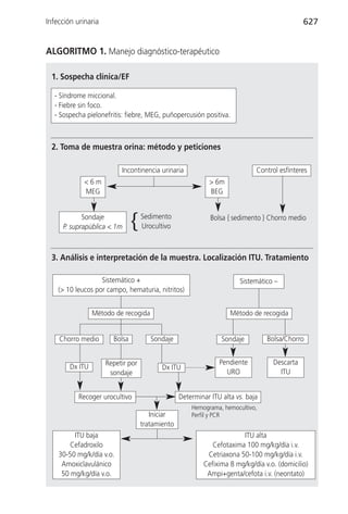 Infección urinaria                                                                             627


ALGORITMO 1. Manejo diagnóstico-terapéutico

 1. Sospecha clínica/EF

  - Síndrome miccional.
  - Fiebre sin foco.
  - Sospecha pielonefritis: fiebre, MEG, puñopercusión positiva.



 2. Toma de muestra orina: método y peticiones

                          Incontinencia urinaria                              Control esfínteres
             <6m                                           > 6m
             MEG                                           BEG


            Sondaje
                               }   Sedimento                      }
                                                            Bolsa sedimento } Chorro medio
     P. suprapública < 1m          Urocultivo



 3. Análisis e interpretación de la muestra. Localización ITU. Tratamiento

                   Sistemático +                                         Sistemático –
    (> 10 leucos por campo, hematuria, nitritos)


                 Método de recogida                                   Método de recogida


    Chorro medio       Bolsa          Sondaje                   Sondaje           Bolsa/Chorro


                     Repetir por                               Pendiente            Descarta
        Dx ITU                            Dx ITU
                      sondaje                                    URO                  ITU


           Recoger urocultivo                    Determinar ITU alta vs. baja
                                                     Hemograma, hemocultivo,
                                      Iniciar        Perfil y PCR
                                   tratamiento
         ITU baja                                                     ITU alta
        Cefadroxilo                                         Cefotaxima 100 mg/kg/día i.v.
    30-50 mg/k/día v.o.                                   Cetriaxona 50-100 mg/kg/día i.v.
     Amoxiclavulánico                                    Cefixima 8 mg/kg/día v.o. (domicilio)
     50 mg/kg/día v.o.                                    Ampi+genta/cefota i.v. (neontato)
 