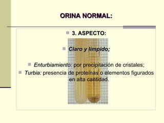 ORINA NORMAL: 3. ASPECTO: Claro y límpido; Enturbiamiento:  por precipitación de cristales; Turbia:  presencia de proteínas o elementos figurados en alta cantidad. 
