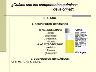 ¿Cuáles son los componentes químicos  de la orina?: 1. AGUA; 2. COMPUESTOS  ORGÁNICOS: a) NITROGENADOS:  . urea; . ácido úrico; . creatinina; . hipurato b) NO NITROGENADOS: .oxalatos .fenoles .glucurónico 3. COMPUESTOS INORGÁNICOS: .Cl, S, Mg, P, Na, K, Ca, Fe.  Agua Orina: 
