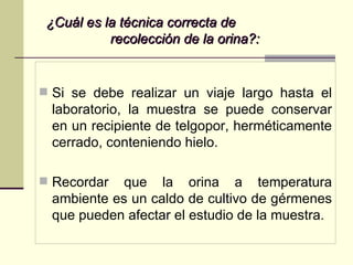 ¿Cuál es la técnica correcta de  recolección de la orina?: Si se debe realizar un viaje largo hasta el laboratorio, la muestra se puede conservar en un recipiente de telgopor, herméticamente cerrado, conteniendo hielo. Recordar que la orina a temperatura ambiente es un caldo de cultivo de gérmenes que pueden afectar el estudio de la muestra. 