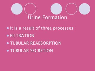 Urine Formation It is a result of three processes: FILTRATION TUBULAR REABSORPTION TUBULAR SECRETION 