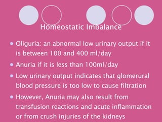 Homeostatic Imbalance Oliguria: an abnormal low urinary output if it is between 100 and 400 ml/day Anuria if it is less than 100ml/day Low urinary output indicates that glomerural blood pressure is too low to cause filtration However, Anuria may also result from transfusion reactions and acute inflammation or from crush injuries of the kidneys 