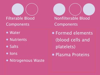 Filterable Blood Components Water Nutrients Salts Ions Nitrogenous Waste Nonfilterable Blood Components Formed elements (blood cells and platelets) Plasma Proteins 