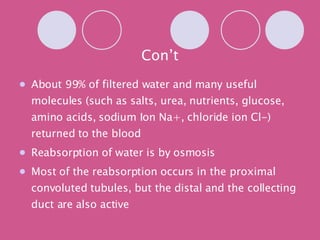 Con’t About 99% of filtered water and many useful molecules (such as salts, urea, nutrients, glucose, amino acids, sodium Ion Na+, chloride ion Cl-) returned to the blood Reabsorption of water is by osmosis Most of the reabsorption occurs in the proximal convoluted tubules, but the distal and the collecting duct are also active 
