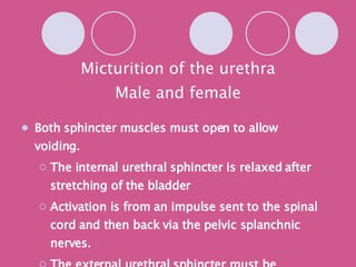 Micturition of the urethra Male and female Both sphincter muscles must open to allow voiding. The internal urethral sphincter is relaxed after stretching of the bladder Activation is from an impulse sent to the spinal cord and then back via the pelvic splanchnic nerves. The external urethral sphincter must be voluntarily relaxed. 