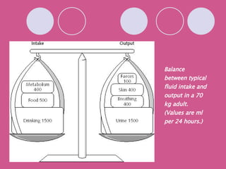 Balance between typical fluid intake and output in a 70 kg adult. (Values are ml per 24 hours.)   