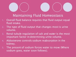 Maintaining Fluid Homeostasis Overall fluid balance requires that fluid output equal fluid intake. The type of fluid output that changes most is urine volume. Renal tubule regulation of salt and water is the most important factor in determining urine volume. Aldosterone controls sodium reabsorption in the kidney. The present of sodium forces water to move (Where sodium goes, water soon follows). The aldosterone mechanism helps restore normal ECF volume when it decreases below normal. 